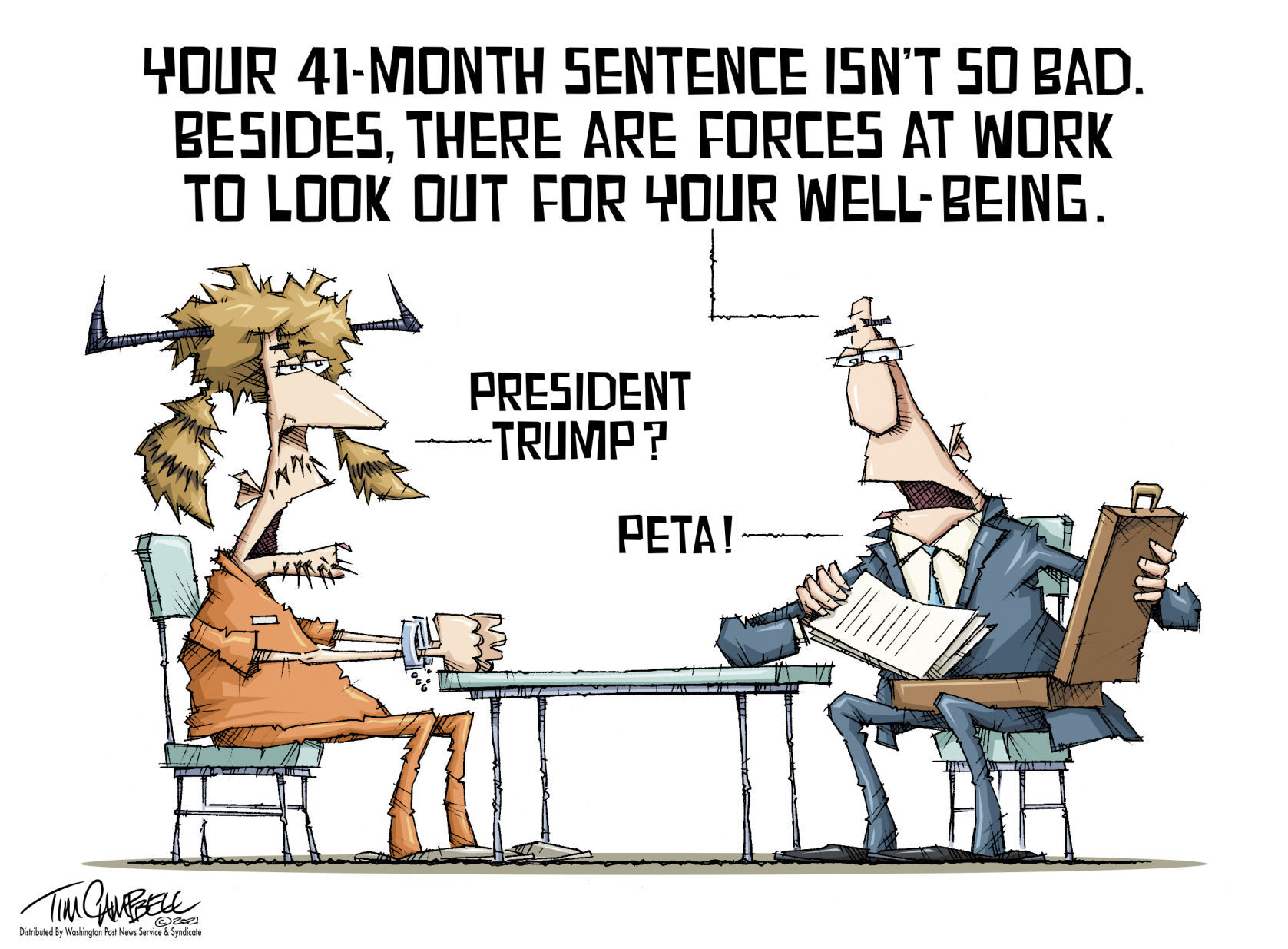 Tim Campbell cartoon